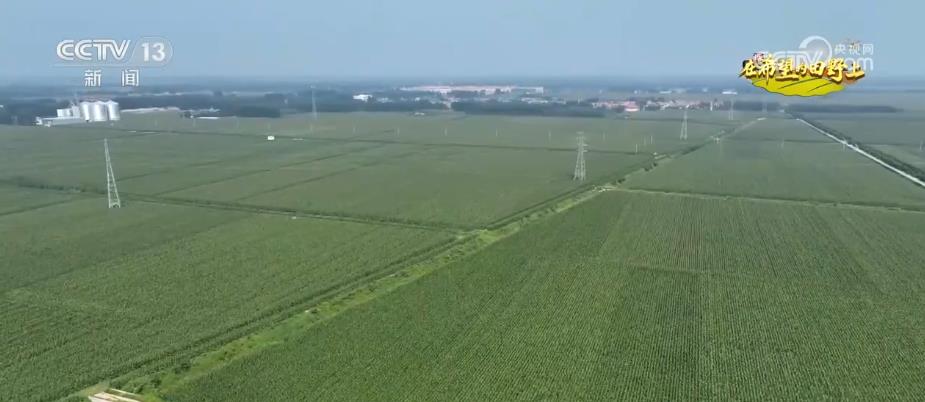“濟麥”“齊黃”“登海”等優(yōu)質(zhì)品種多次刷新全國高產(chǎn)紀錄(圖1)