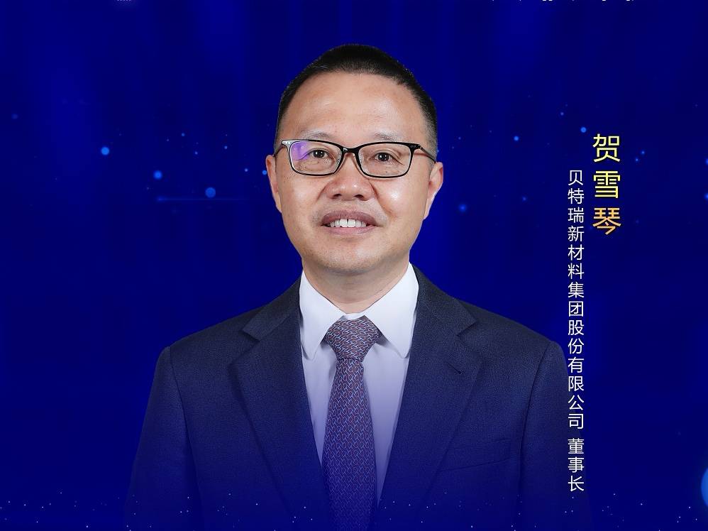 賀雪琴：產業上下游攜手強鏈打造核心競爭力，應對動力電池的挑戰(圖1)