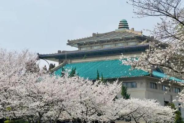 武漢櫻花什么時(shí)候開 武大櫻花2024年什么時(shí)候開放