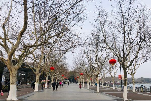 2024上海世紀(jì)公園賞梅游園會時間