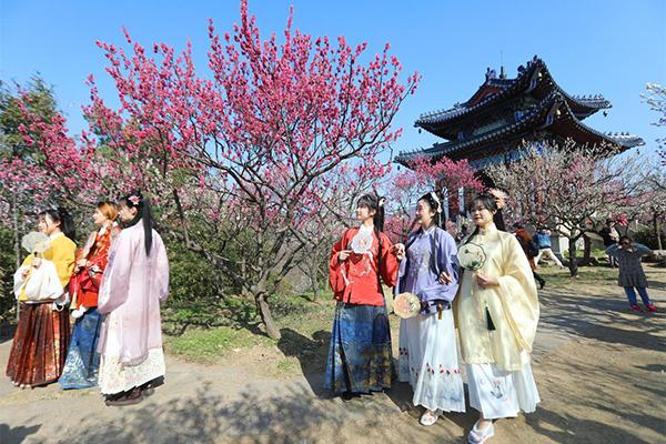 2024南京國際梅花節(jié)時間+地點(diǎn)+攻略