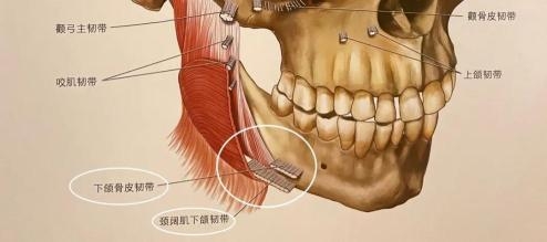 米揚麗格馬平山醫(yī)生采用PLLA艾維嵐在口周年輕化方面的成果(圖10)
