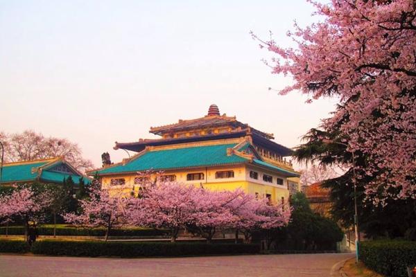 2024武大櫻花預(yù)約官網(wǎng)地址、門票及開放時間介紹