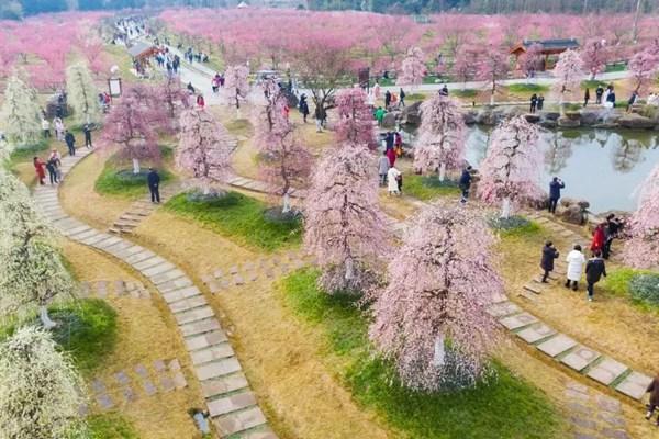 問(wèn)花村門(mén)票價(jià)格2024年