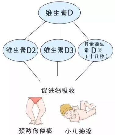 警惕“無(wú)效補(bǔ)鈣”：液體鈣成補(bǔ)鈣黃金搭檔(圖4)