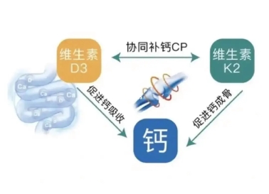 警惕“無(wú)效補(bǔ)鈣”：液體鈣成補(bǔ)鈣黃金搭檔(圖5)
