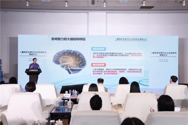 inne引領DHA行業革新：高峰論壇開啟新篇章，人民日報、新華網齊點贊(圖5)
