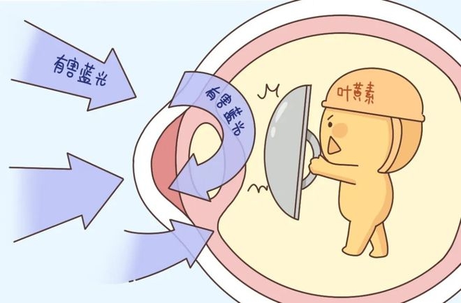 葉黃素對眼睛真的有效嗎？一文讀懂它的功效與作用(圖1)