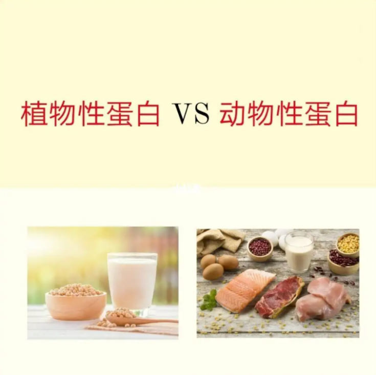 幫助補(bǔ)充蛋白質(zhì)，湯臣倍健雙蛋白粉守護(hù)健康(圖2)