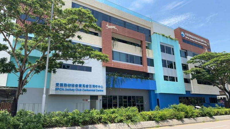 IGG鸚鵡攜手香港SPCA協會，共筑動物福祉