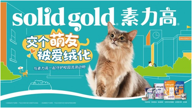 Solid Gold素力高攜手西安交通大學仙交貓貓社團，舉辦“交個萌友，被愛絨化”校園公益活動!