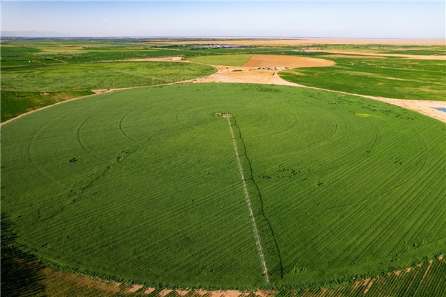 國際奧委會主席考文垂打卡蒙牛 攜手打造體育、營養與綠色融合發展的世界級樣本(圖6)