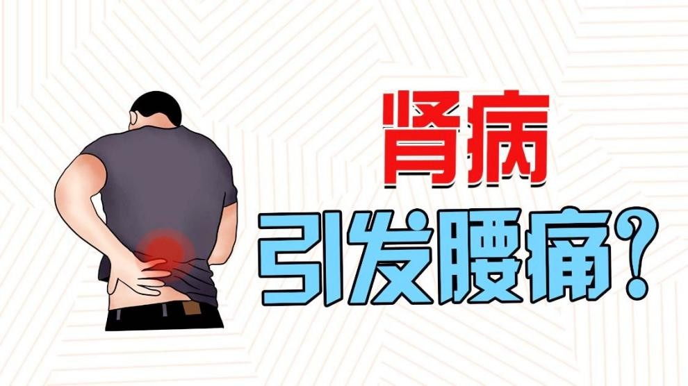 白羽醫生提醒：腰部隱隱脹痛，可能是腎臟發出的求救信號