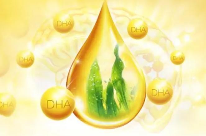 新手爸媽必看：DHA什么時候補？怎么選？天然博士DHA藻油了解一下！