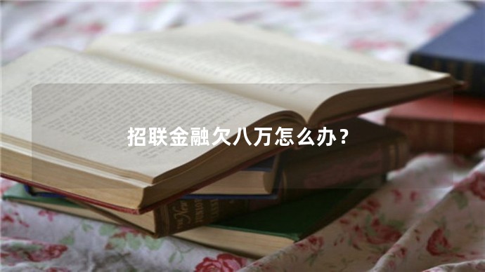 招聯金融欠八萬怎么辦？